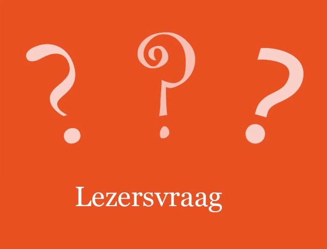 Lezersvraag: fantasieverhalen corrigeren of laten gaan?